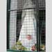 k-wedding-dress-baby